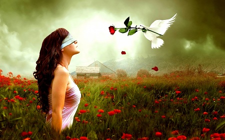 love story in hidni